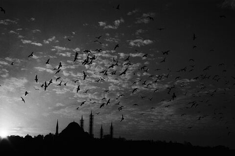 Istanbul, 2008 